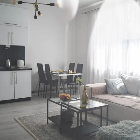 Modern 1bdr Near Center Apartment *